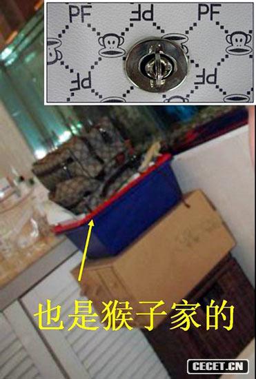 aһ(g)ǎׂ(g)b|ԓGUCCI,GUCCI](mi)^(gu)@ӵĖ||ԓ߀ǺPAUL FRANKҵļҾϵЮa(chn)ƷyPAUL FRANKģGUCCIϻ