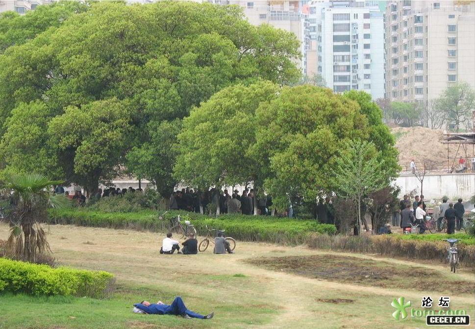 人數居然如此之多,另人咂舌