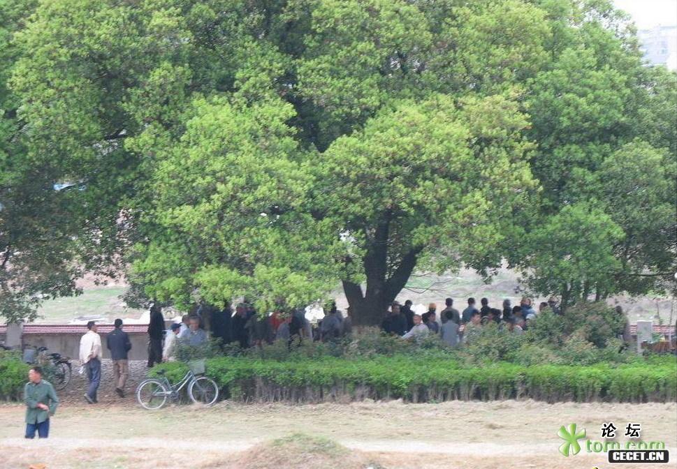 󲿷˞߀As(zh)Ơ