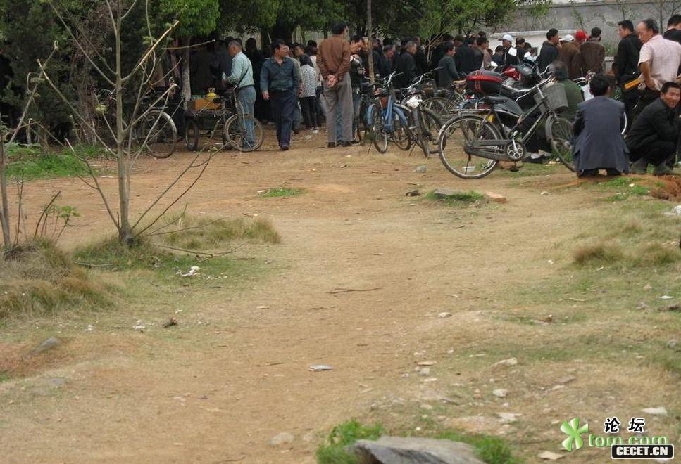 下來(lái)了,一群大爺圍在那里