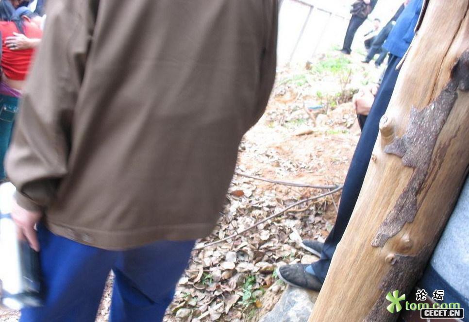 ;^(gu)ҕ_ЬF(chng)Ԓ(hu)..