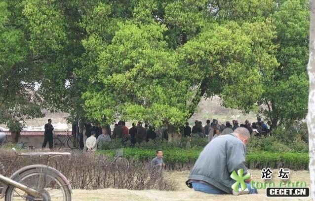 如次公開(kāi)...居然沒(méi)有人管,實(shí)在是太另人觸目驚心了