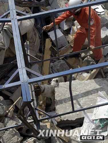 515Ԯ꠆TǏUѾȮьW(xu)Aӛ տ z (D14)