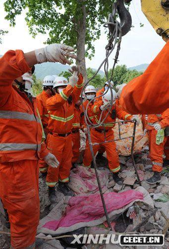 515ѾˆTھo (D3)