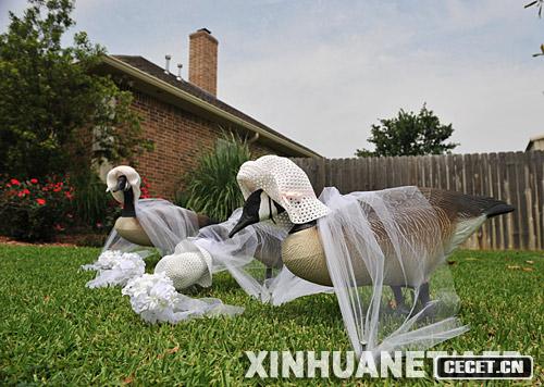 510ÿ_˹ݿ˄ڸؾZܴϻ鼆