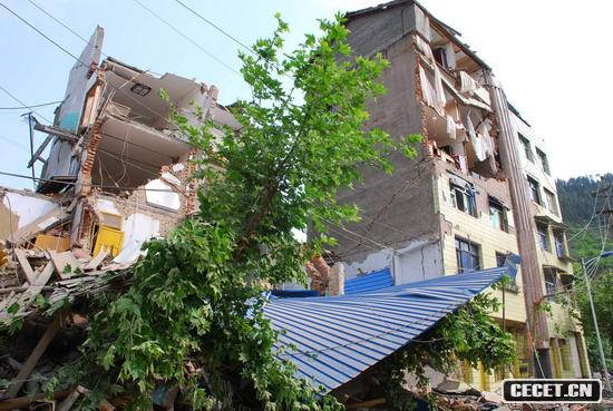 51216c(din)57֣നǃȽܓp_(ki)z (D5)