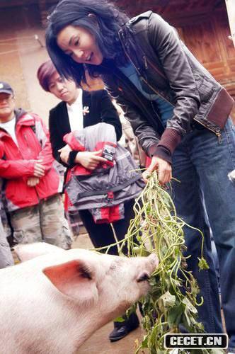 張曼玉農村行關(guān)愛(ài)他人
