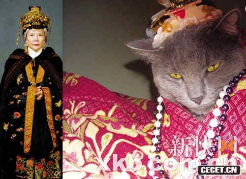 黑貓版賈母不怒自威