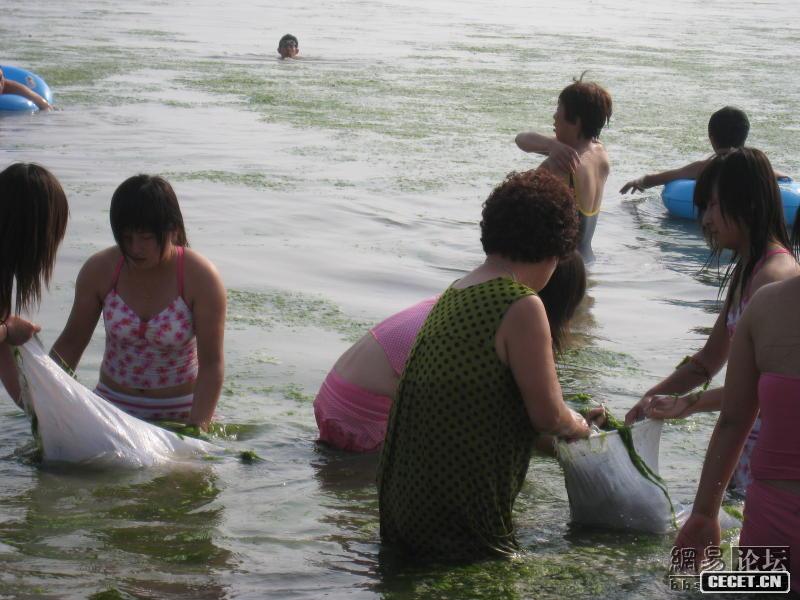 青島最漂亮撈藻MM