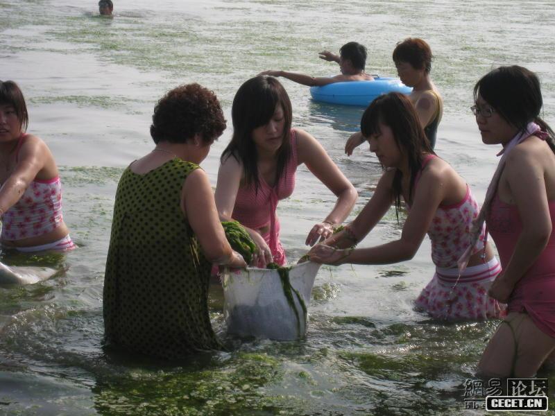 青島最漂亮撈藻MM