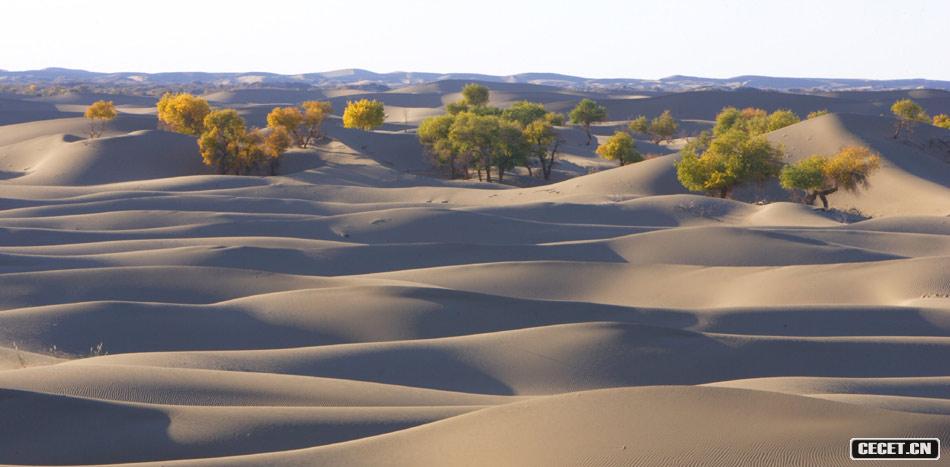 東風(fēng)航天城附近風(fēng)光 巴丹吉林沙漠