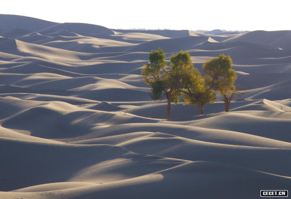 東風(fēng)航天城附近風(fēng)光 巴丹吉林沙漠