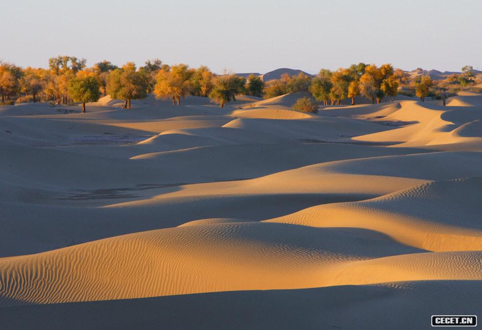 東風(fēng)航天城附近風(fēng)光 巴丹吉林沙漠