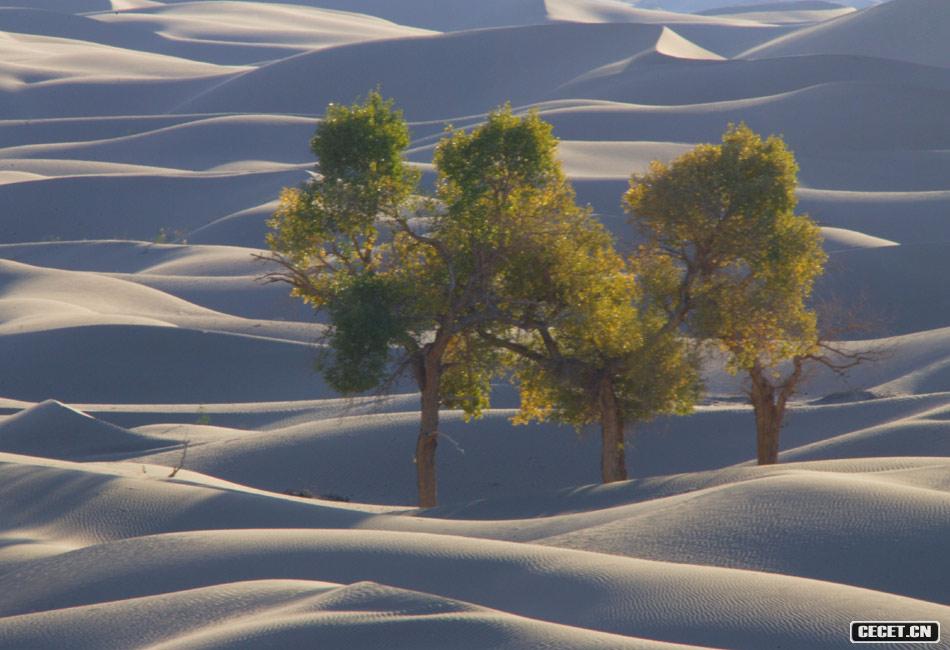 東風(fēng)航天城附近風(fēng)光 巴丹吉林沙漠