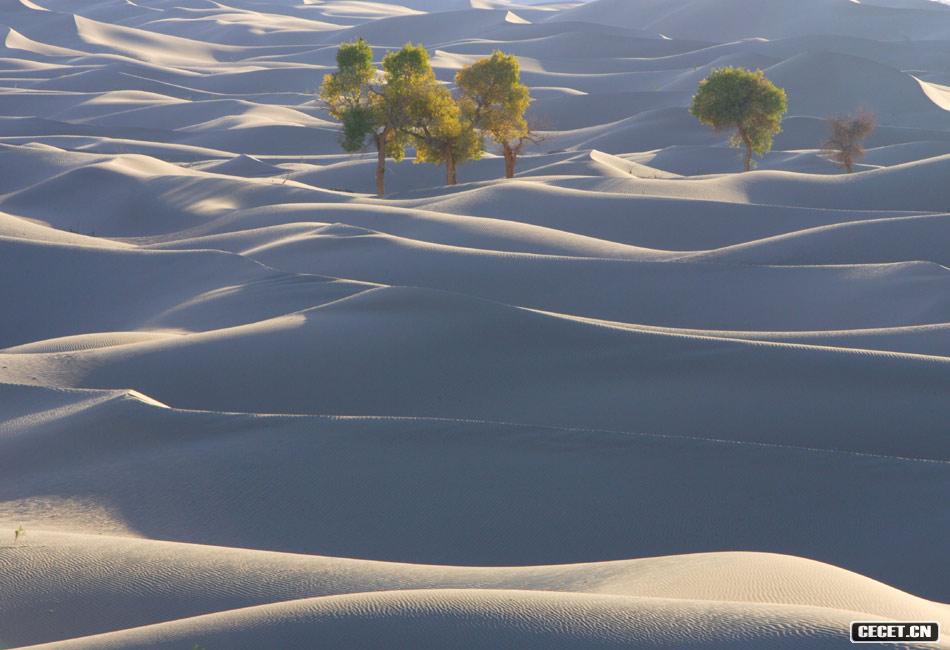 東風(fēng)航天城附近風(fēng)光 巴丹吉林沙漠