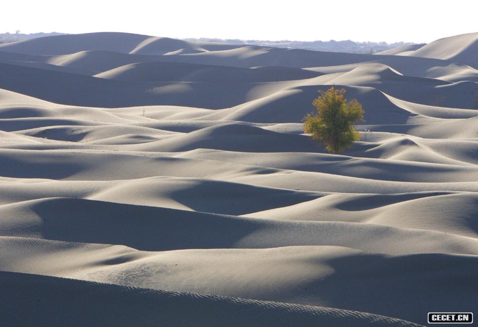 東風(fēng)航天城附近風(fēng)光 巴丹吉林沙漠