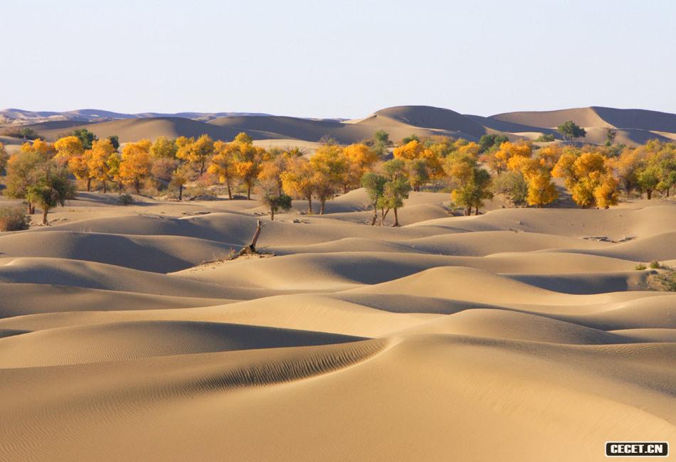 東風(fēng)航天城附近風(fēng)光 巴丹吉林沙漠