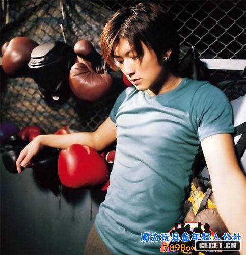 謝霆鋒 生日:1980年8月29日 28歲