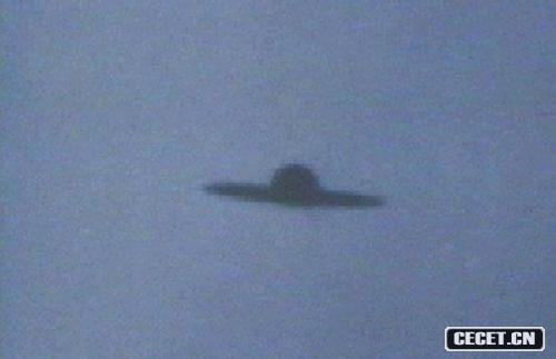 19743һλĿڰԺhܠD@Ƭr(sh)ǂ(g)ֵw@(g)wʬFɫ˂ڰ͢ɭZwǳ(li)