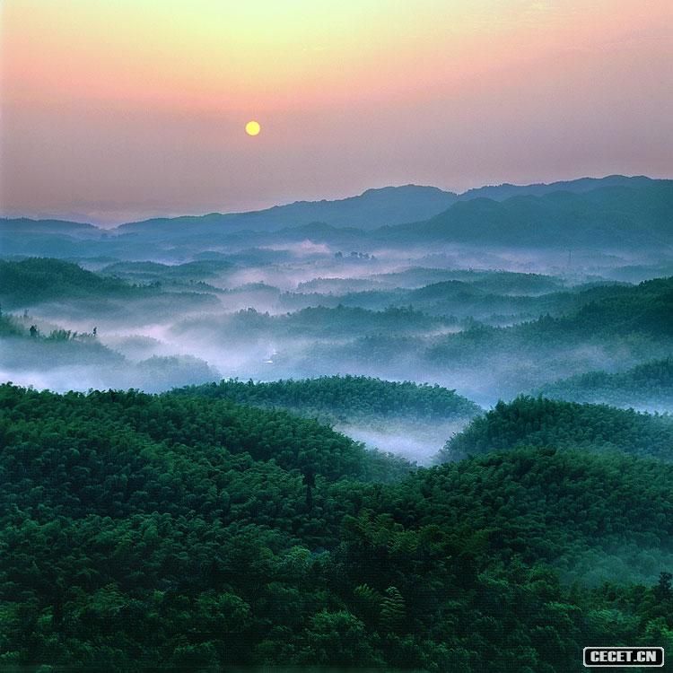 一等獎 董志宇 竹海神韻組照之竹海之晨 (圖1)