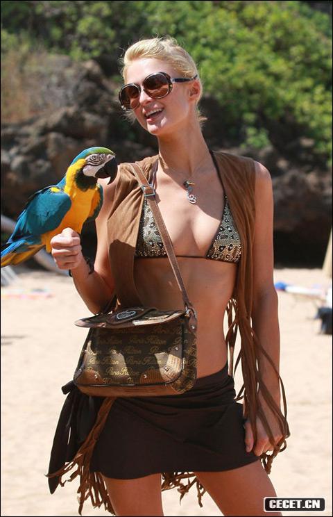 帕麗斯·希爾頓