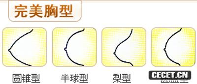 完美胸型