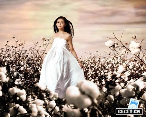 大S純美代言09月歷