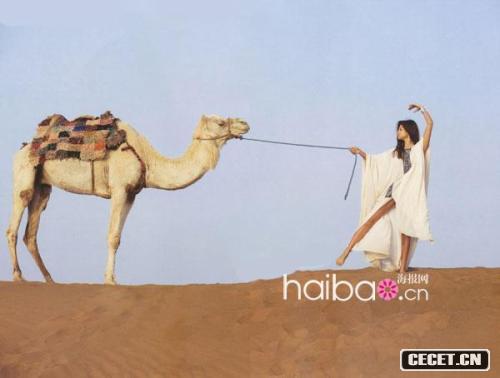 橋本麗香青春絢麗寫(xiě)真