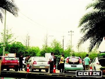 同悅/驪威/C2/金鷹/A3 7款小車(chē)對比試駕