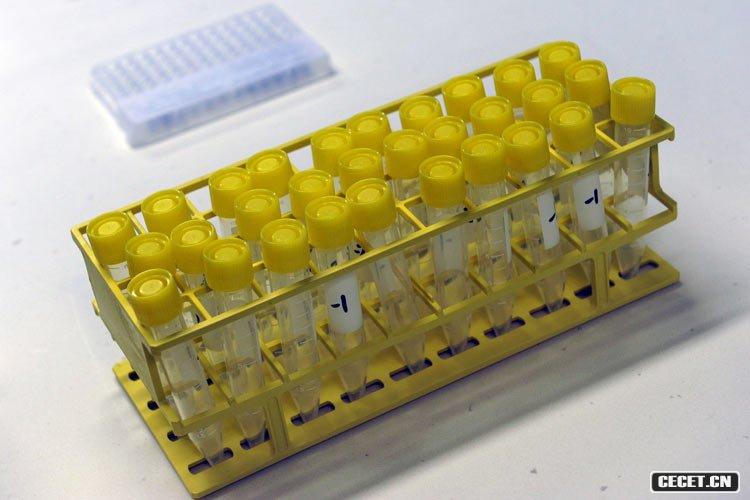 lMоˆTĳЩϲɼĘӱ (D14)