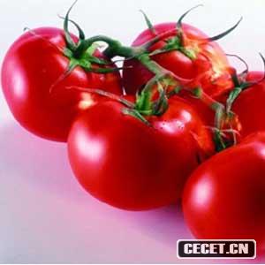 西紅柿