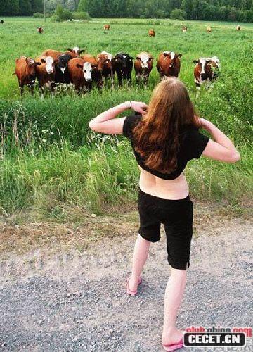 真正的惡搞達人