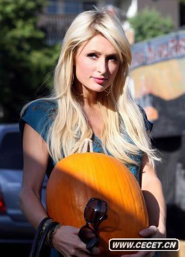 希爾頓南瓜地拾趣