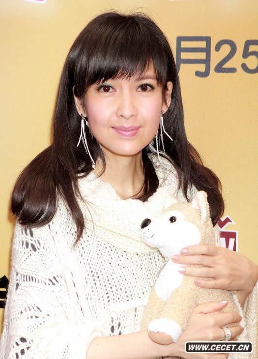 周慧敏圣誕關(guān)愛(ài)流浪犬