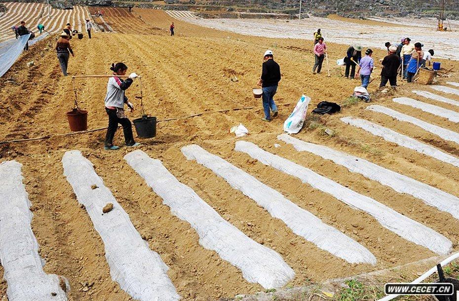 314FʡL(chng)혿h]״ڼӾoaNøĤg(sh)ˮ (D8)