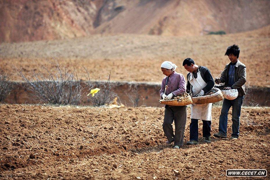 FhlP(gun)ڷeON313Քz (D9)