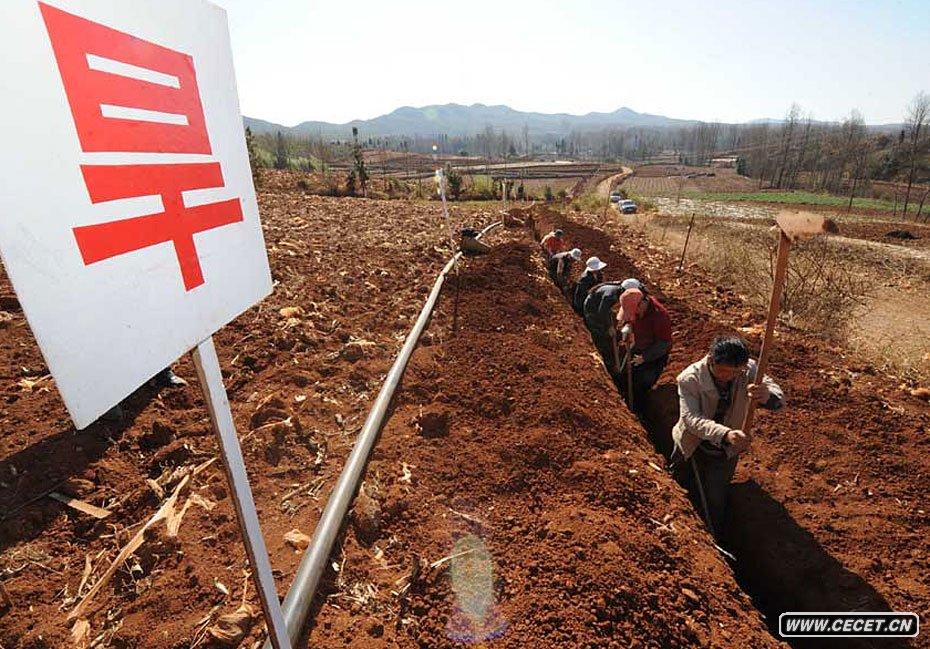 ʡЖ|ɽǡôMڜ䴺36Քz (D10)