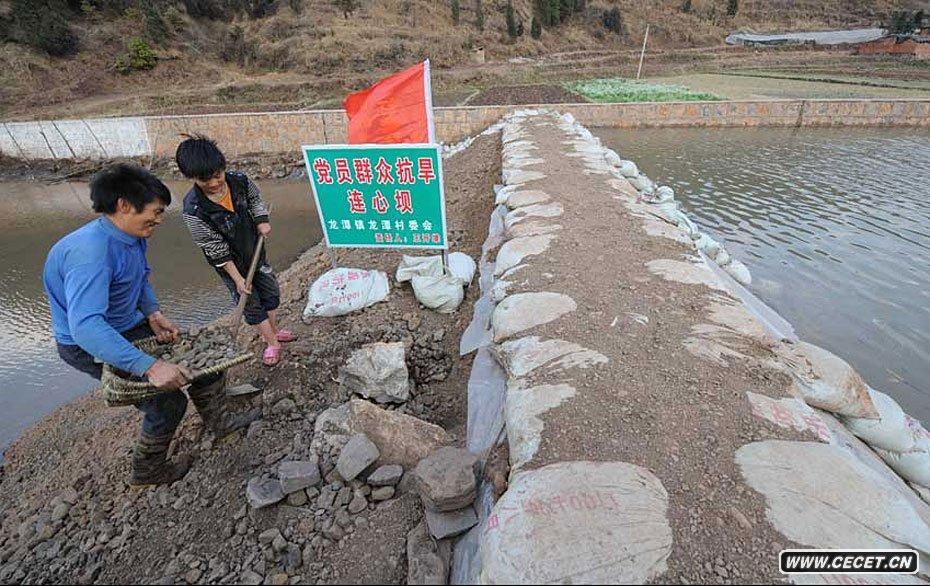 ʡ̶悴ڼӹˮˮ35Քz (D12)