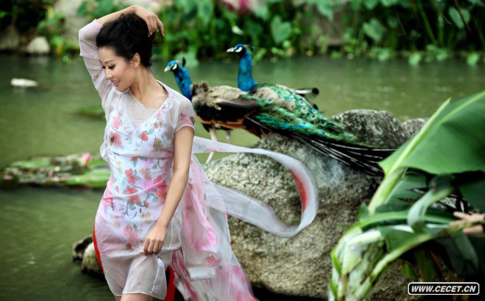 苗圃飄逸紗裙斗秀孔雀