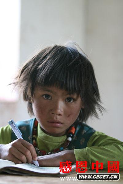 ڽ (tng)n(sh)hӂӋ2009ṩ˿ڳ13.24.3˿ȻL(chng)8.9˿ڽyӋݹyӋ@ʾĩ(h)105895(h)˿ڣ357267ڿ˿˿ڞ344870ռ˿ڵ96.5%h˿ڞ10770ռ3.01%˿ڞ988ռ0.27%704ռ0.19%D/ģʽ (D2)