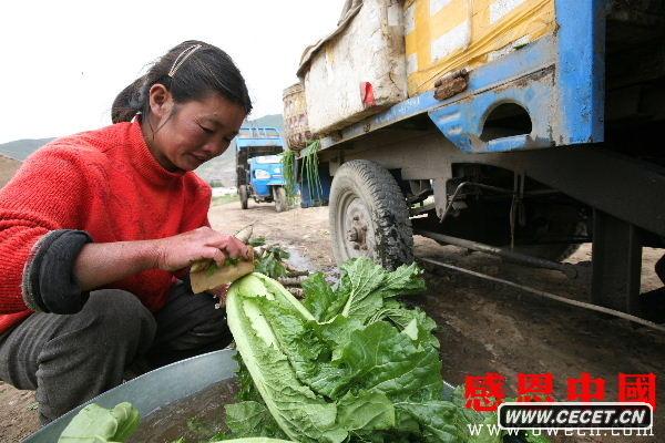 ຣʡ(sh)Nֲ߲˵Ĵؾ,挦صĸԭ,Լpց(li)(sh)FԼԸD/ģʽ (D16)