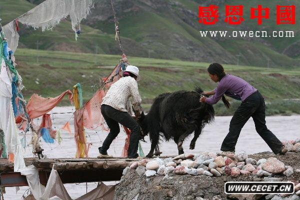 ŌW(xu)؁(li)æ(zh)ČW(xu)D/ģʽ (D21)