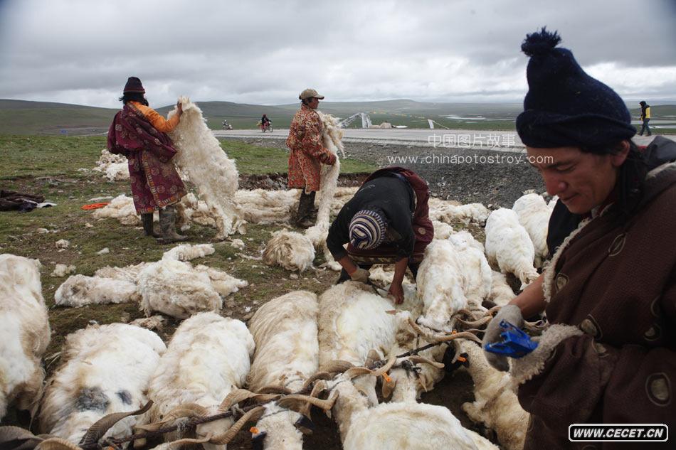 2009.7.30 ຣ. (sh)ݰɽ4824׼ë