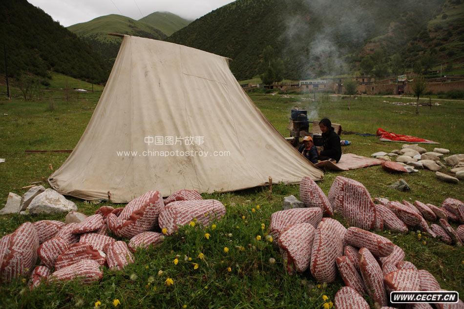 2009.7.31 ຣ. (sh)հ͜ɽйŴկ