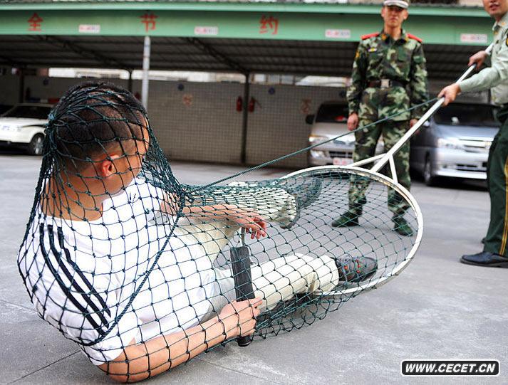 54Ȫ߅֧꠹ٱʾԼƳW(wng)ֹ@NW(wng)ֹL(chng)180ǰЂ(g)ֱ70׵ľW(wng)ȦW(wng)ȦϵһlKKһoɿƾW(wng)Ȧosɴ˾W(wng)ȦЫCW(wng)б߀԰赹ȦˆTϤԓƏVW(xu)Уılʹ