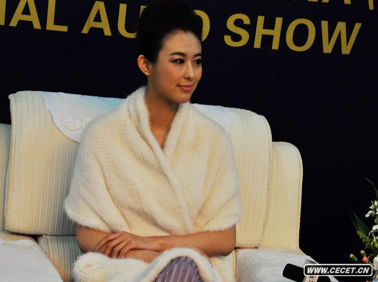 ܇(ch)ģFF2010܇(ch)չ