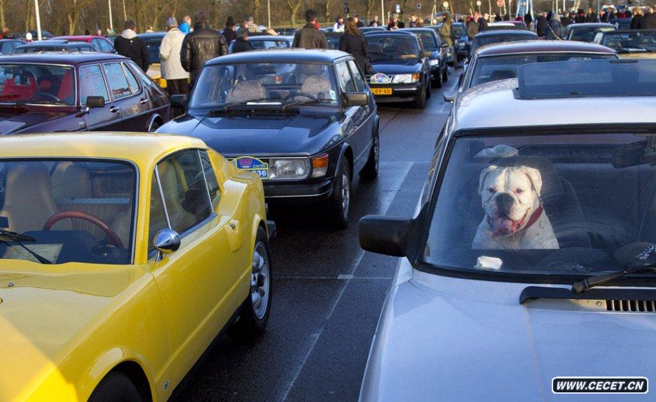 117m÷DD飺^(gu)500ĺm_܇(ch){܇(ch)(hu )ķʽ_ˌ_ƷƵ֧