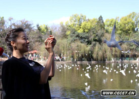 柯藍秀麗倩影映照滇池