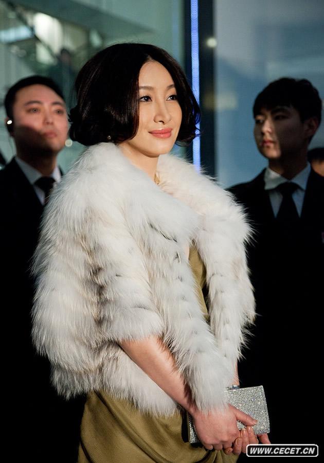 秦海璐穿皮草秀名表