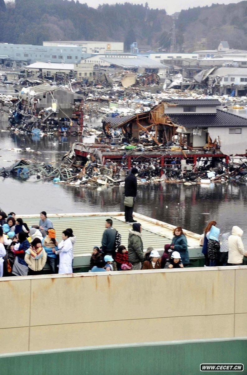 2011311ձӣ[l(f)񱊱D픱y